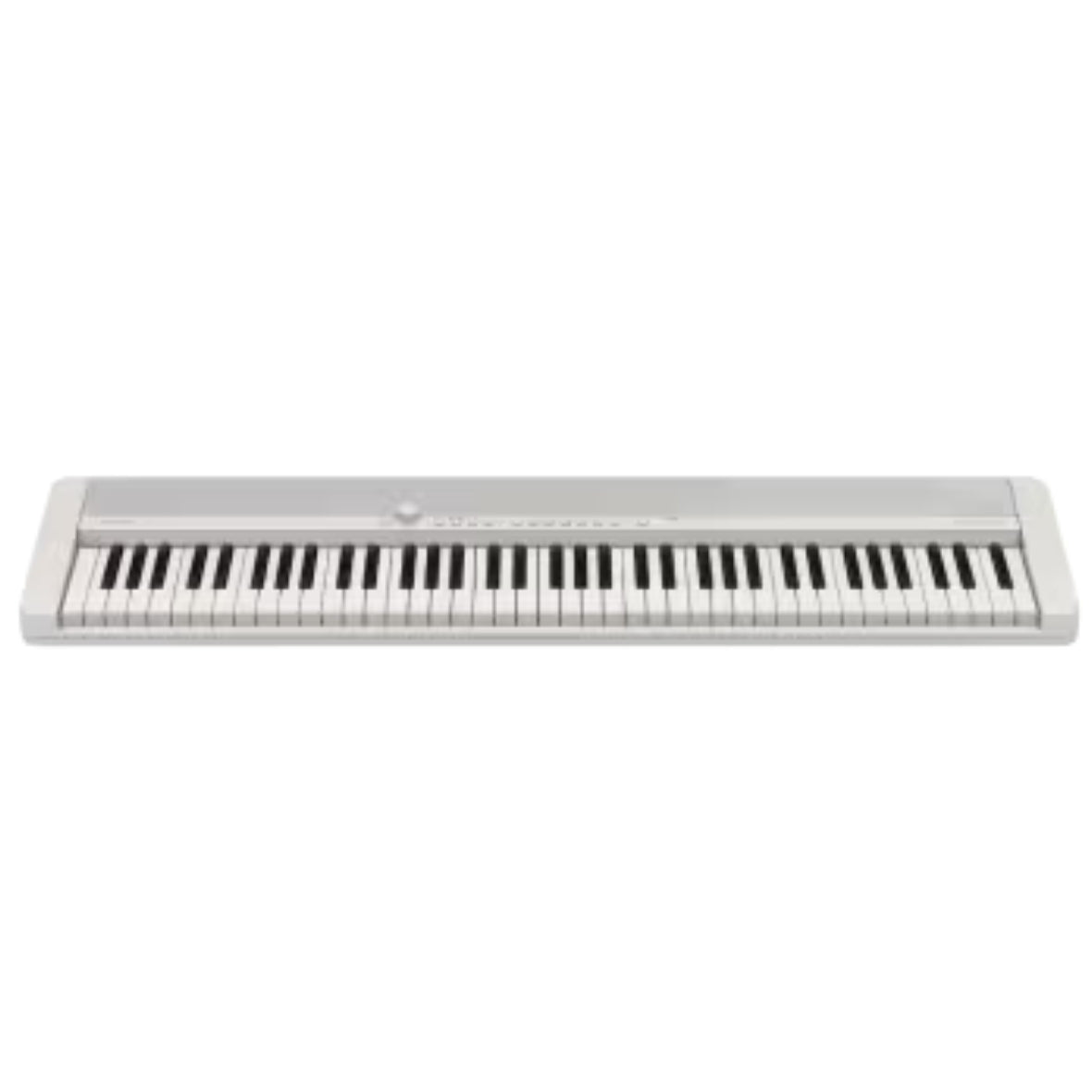 Casio CT-S1-76 76-Keys Portable Keyboard with Powerful Sound