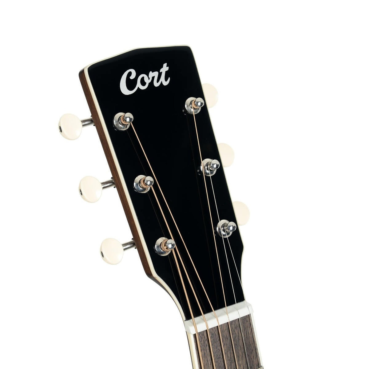 Cort Exotic-GA Walnut Grand Auditorium 6 String Electro Acoustic Guitar