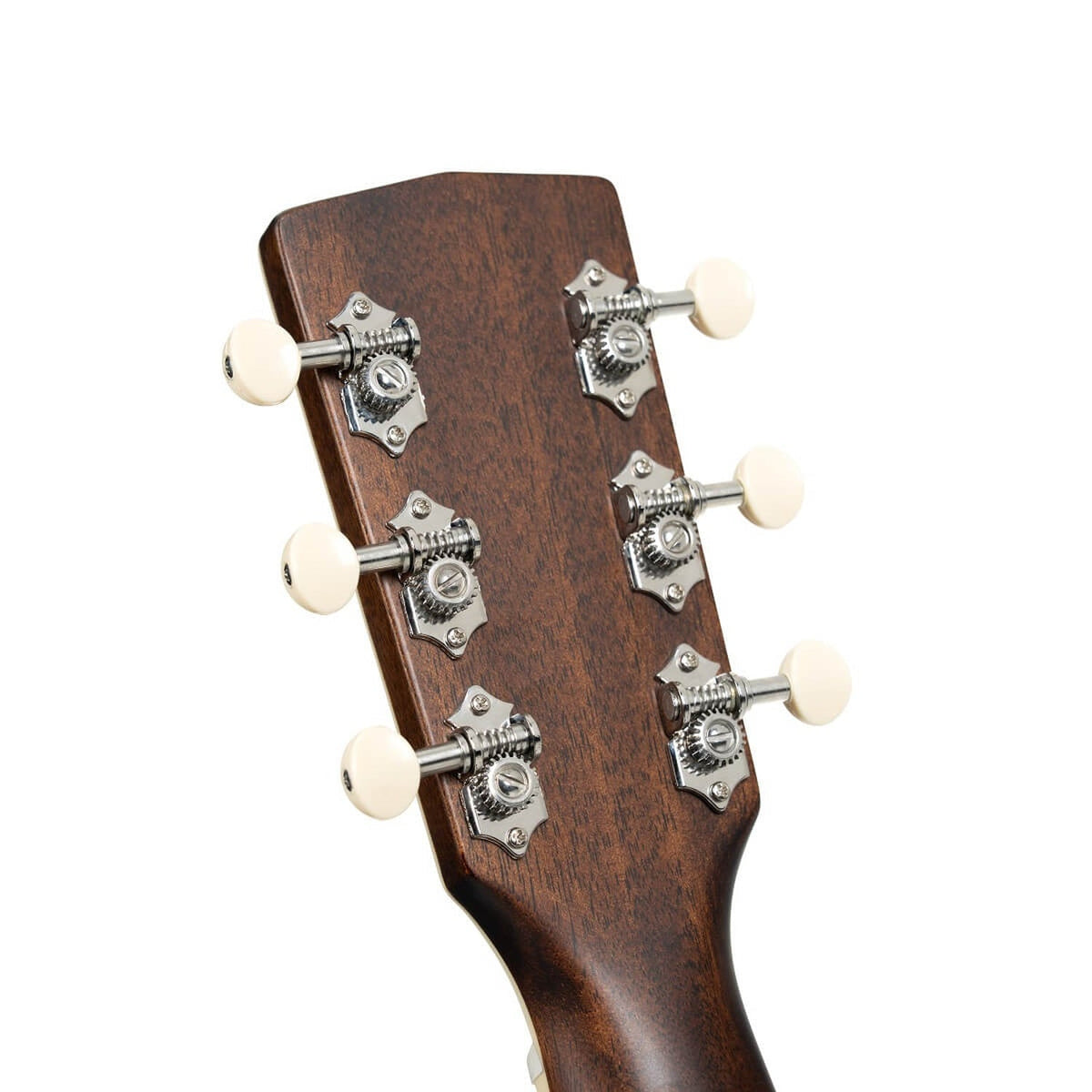Cort Exotic-GA Walnut Grand Auditorium 6 String Electro Acoustic Guitar