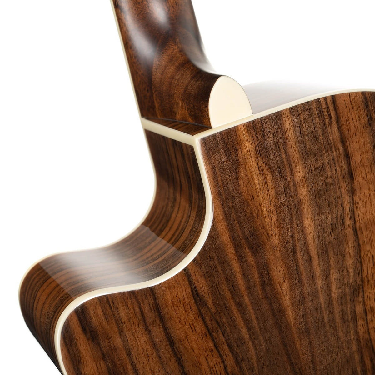 Cort Exotic-GA Walnut Grand Auditorium 6 String Electro Acoustic Guitar