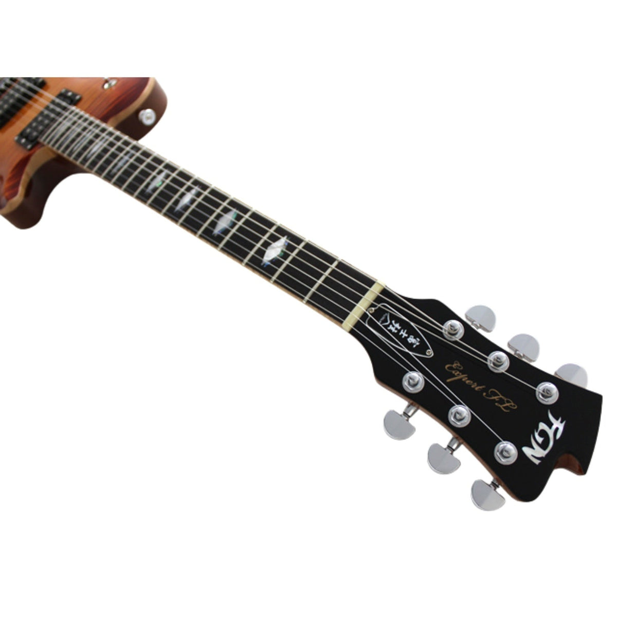 FGN EFL-FM Flame Series Expert 6 String Electric Guitar