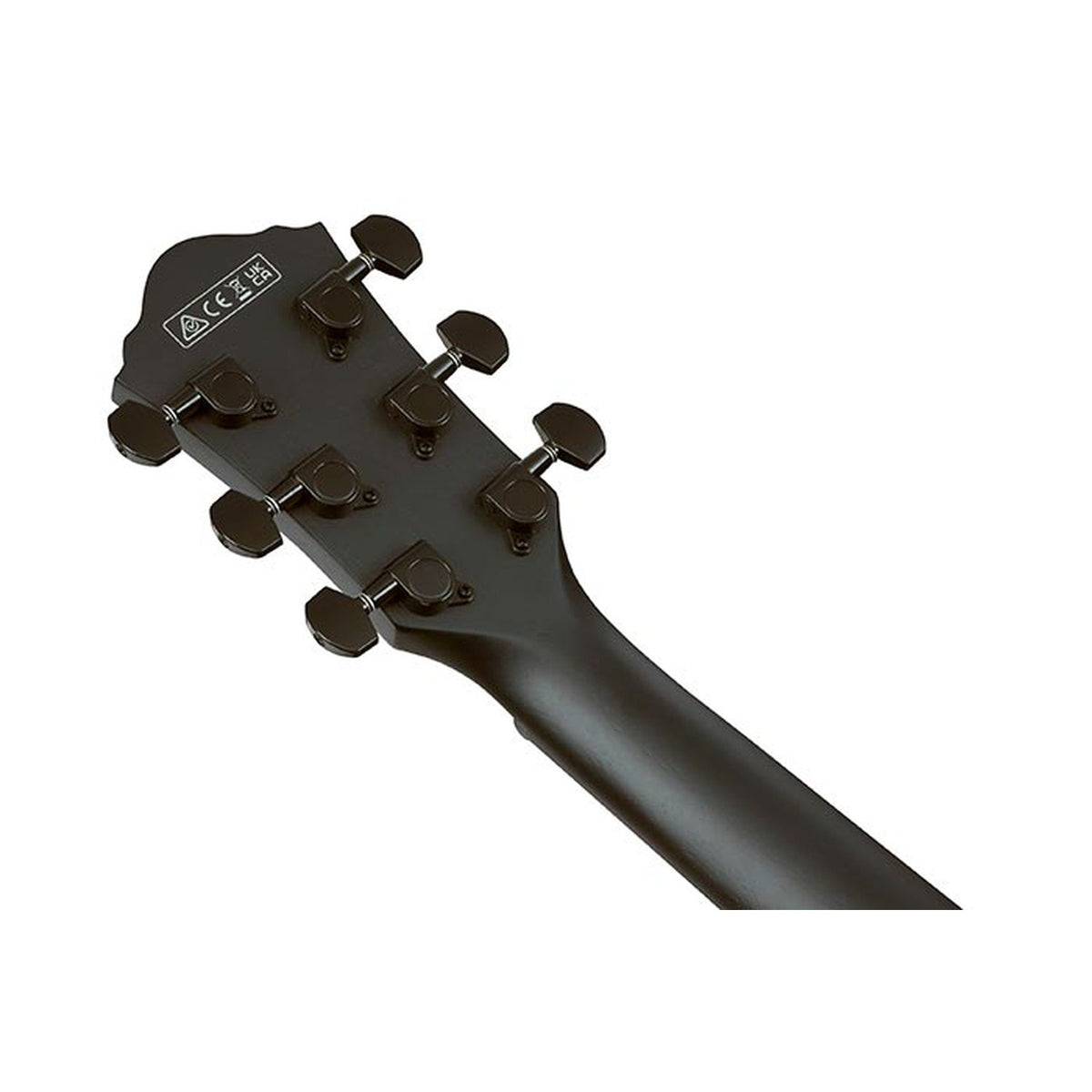 Ibanez AEG621 AEG Series 6 String Electro Acoustic Guitar