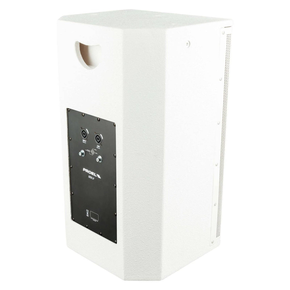 Proel LTX12PW 12-inch Passive PA Speaker