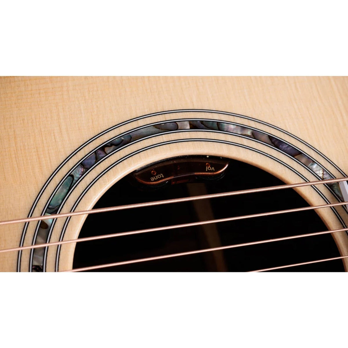 Taylor Legacy 815e Jumbo 6 String Electric Acoustic Guitar