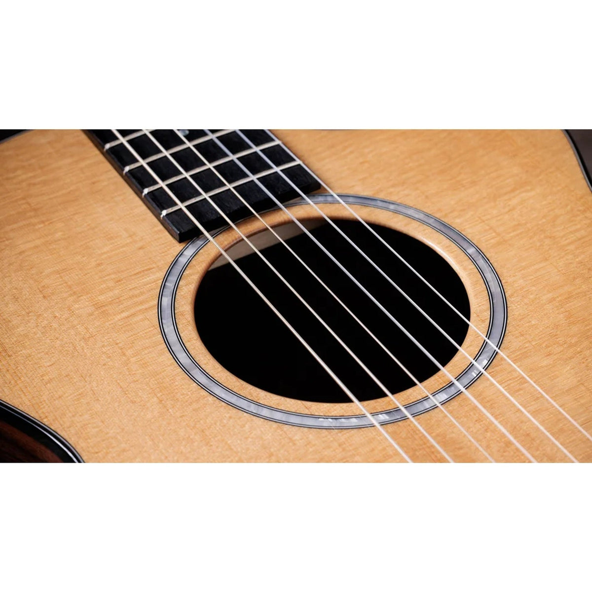 Taylor 212ce-N Plus Grand Concert 6 String Electro Acoustic Guitar