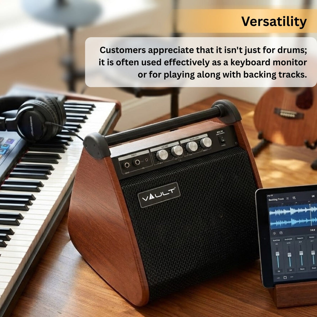 Vault DM50 Drum Monitor