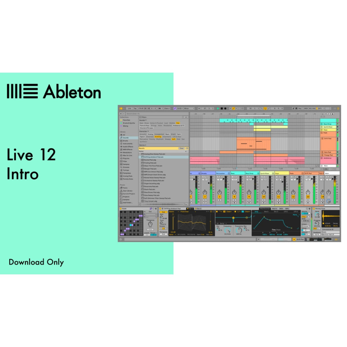 Ableton Live 12 Intro Software (Download Only)