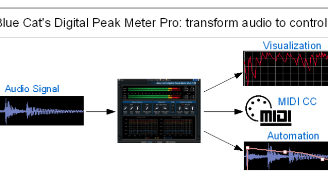 Blue Cat DP Meter Pro Peak Meter – Professional Audio Software & Plugin