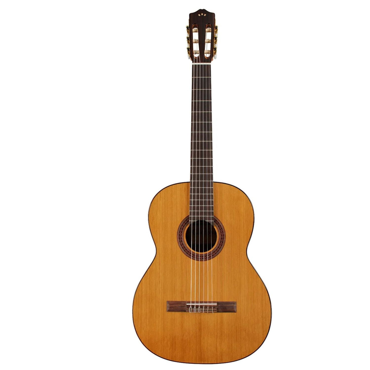 Cordoba C5 CD 6 String Classical Electro Acoustic Guitar