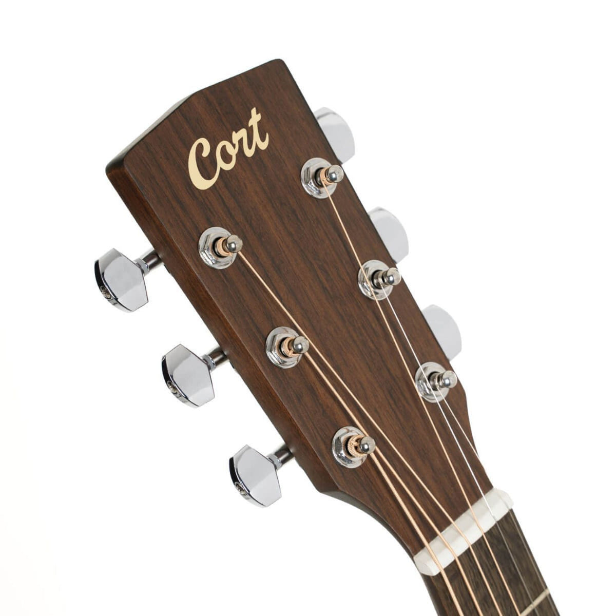 Cort Arium Series 6 String Acoustic Guitar