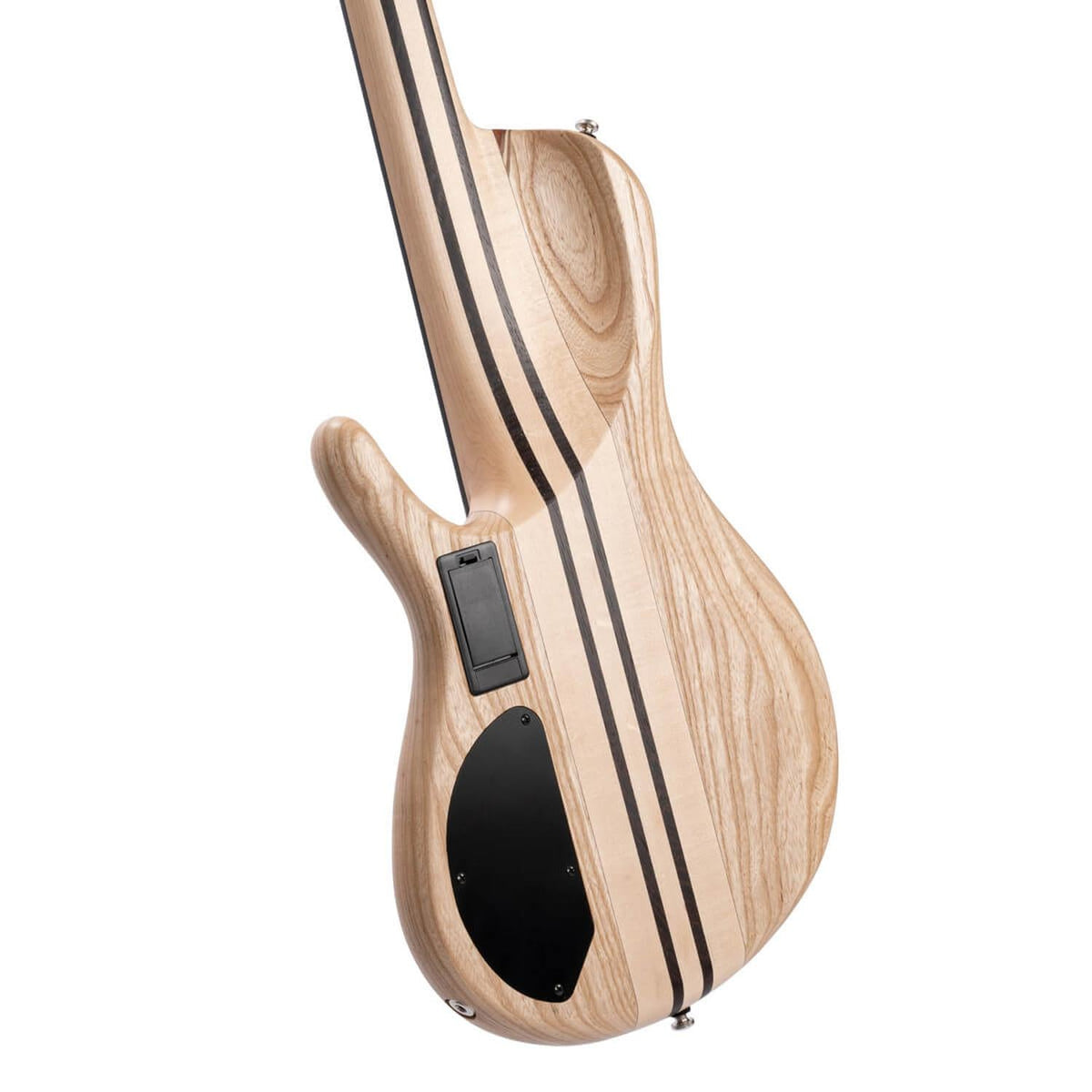 Cort A5 Beyond 5 String Bass Guitar with Case
