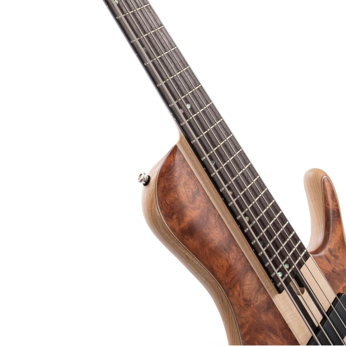 Cort A5 Beyond 5 String Bass Guitar with Case