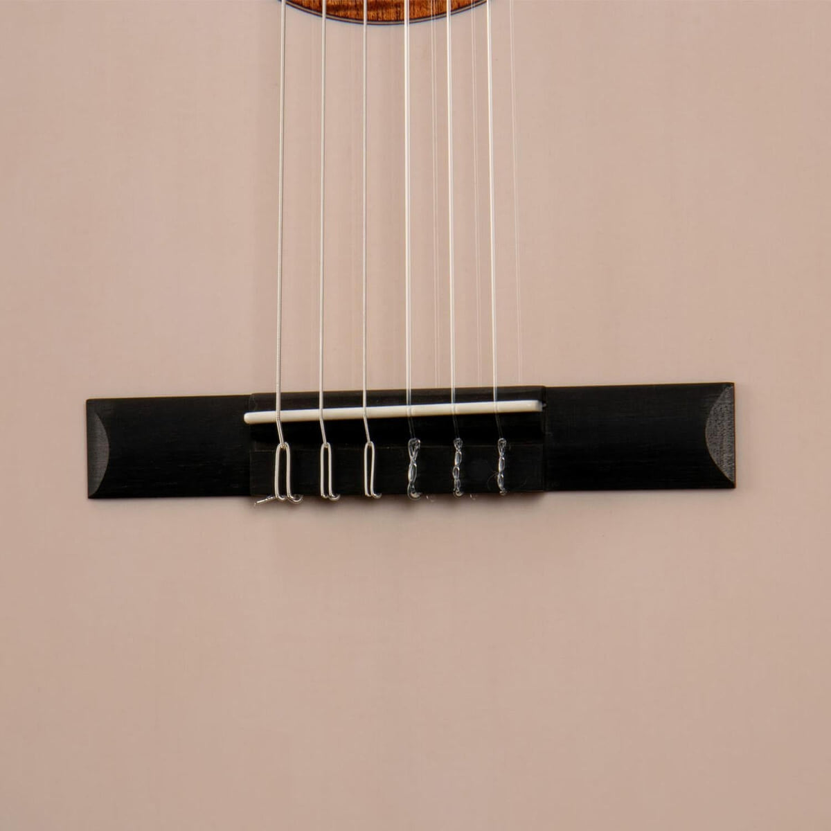 Cort Sol Encanto 6 String Semi Acoustic Guitar with Case