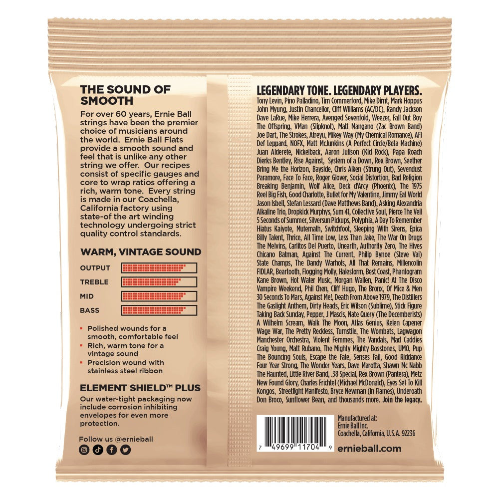 Ernie Ball Group 2.5 Flatwound Electric Bass Strings - 45-105