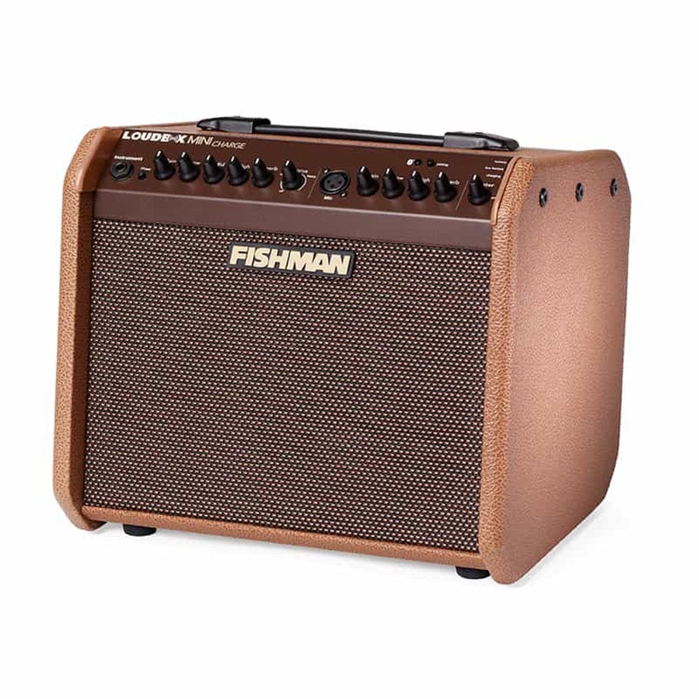Fishman LoudBox Mini Charge PRO LBC 500 60 Watt Acoustic Guitar Amplifier with Bluetooth