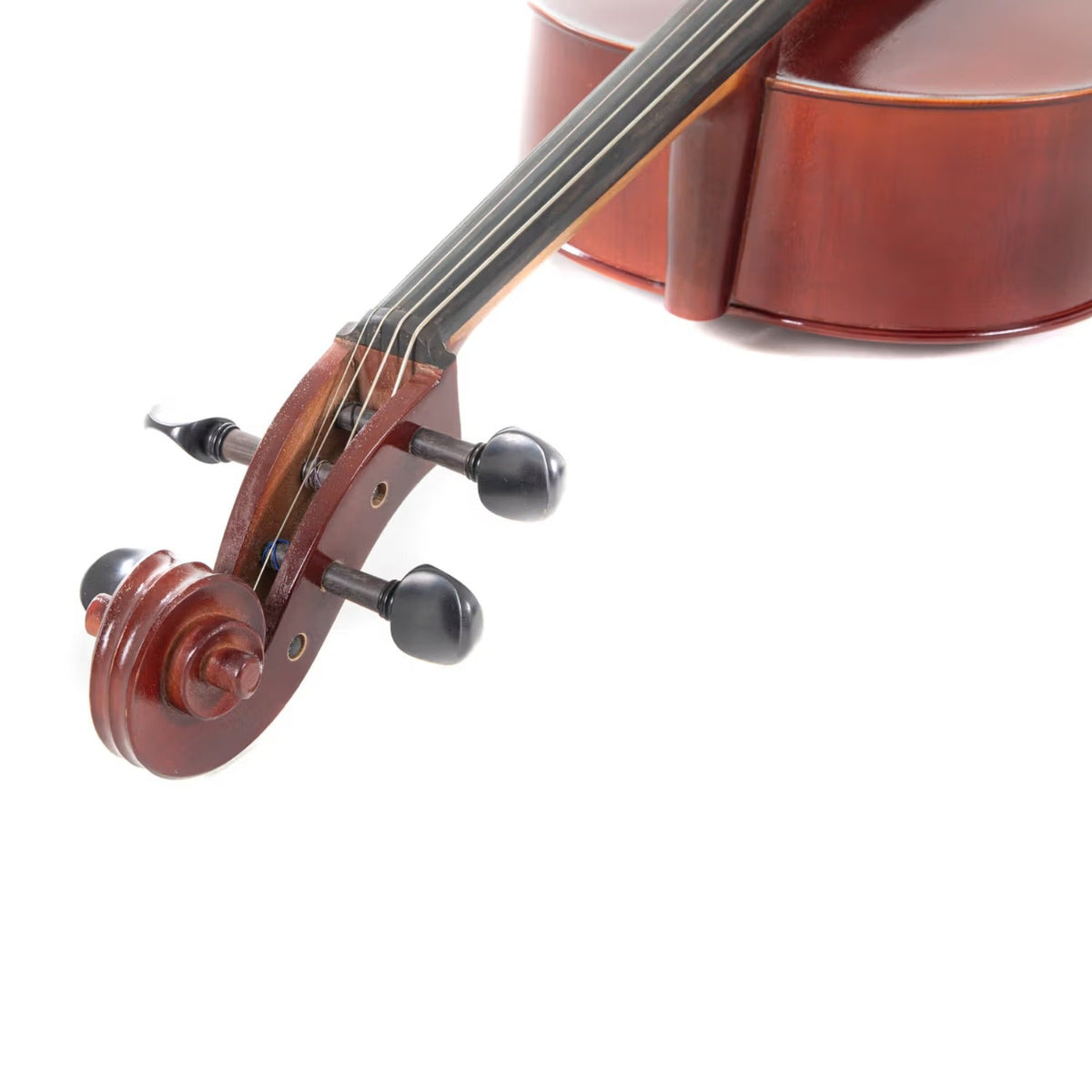 Gewa Pure PS403221 4/4 EW Complete Cello Oufit Violins with Bow & Case