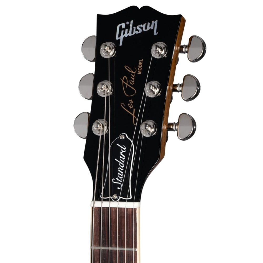 Gibson Les Paul Standard 60s Plain Top 6 String Electric Guitar