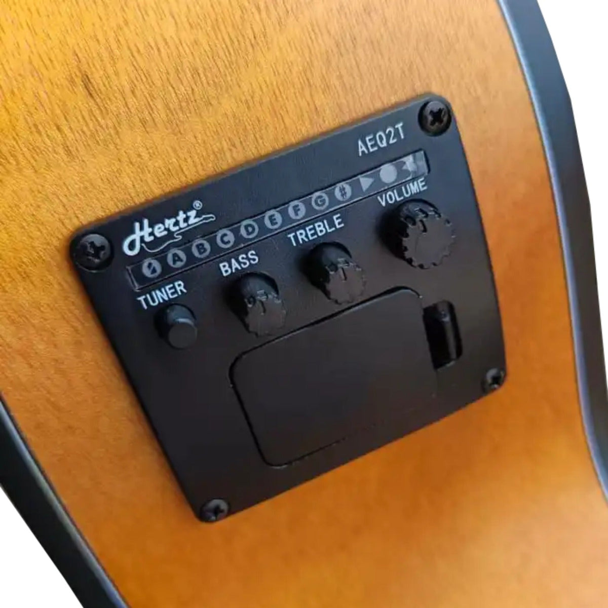Hertz HZA-3600 6 String Acoustic Guitar