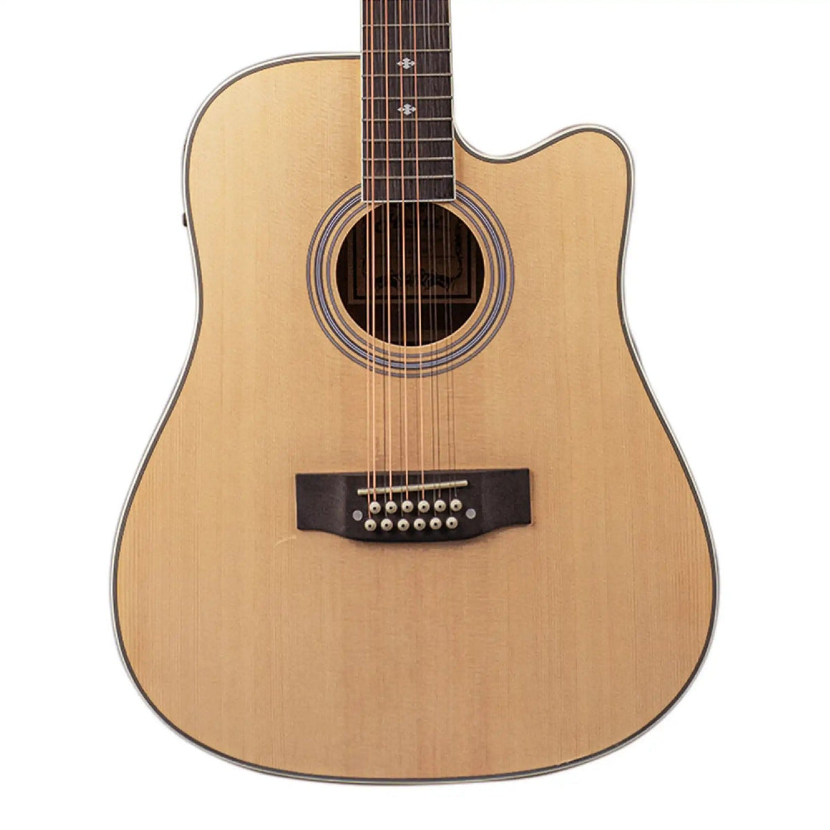 Hertz HZA-3100 12 String Electro Acoustic Guitar