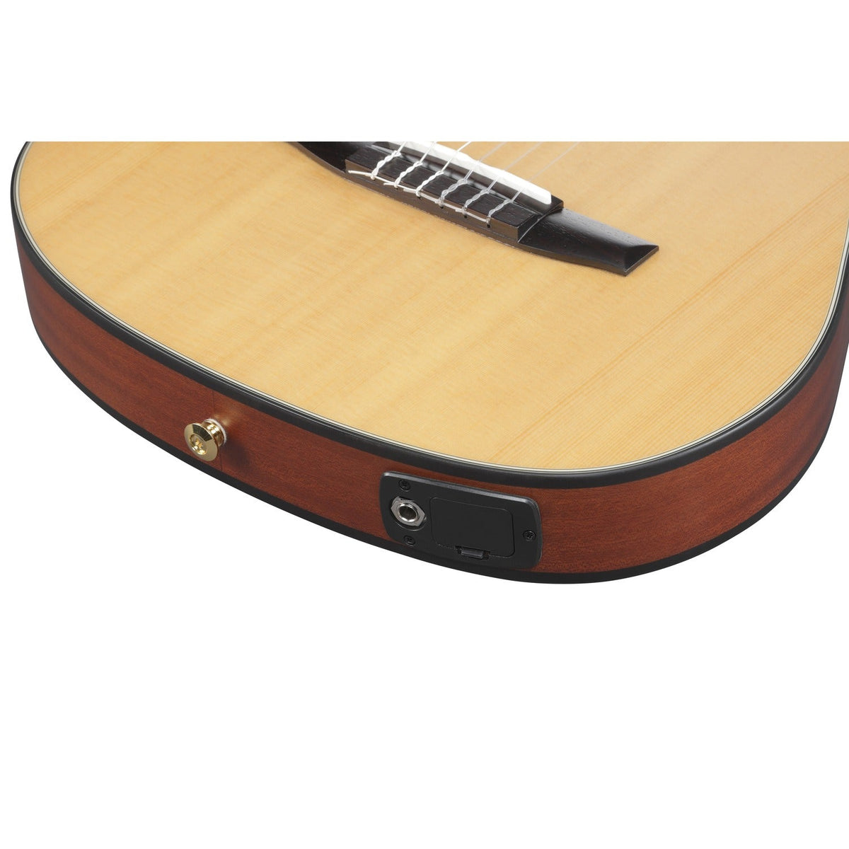 Ibanez FRH10N 6 String Acoustic Guitar
