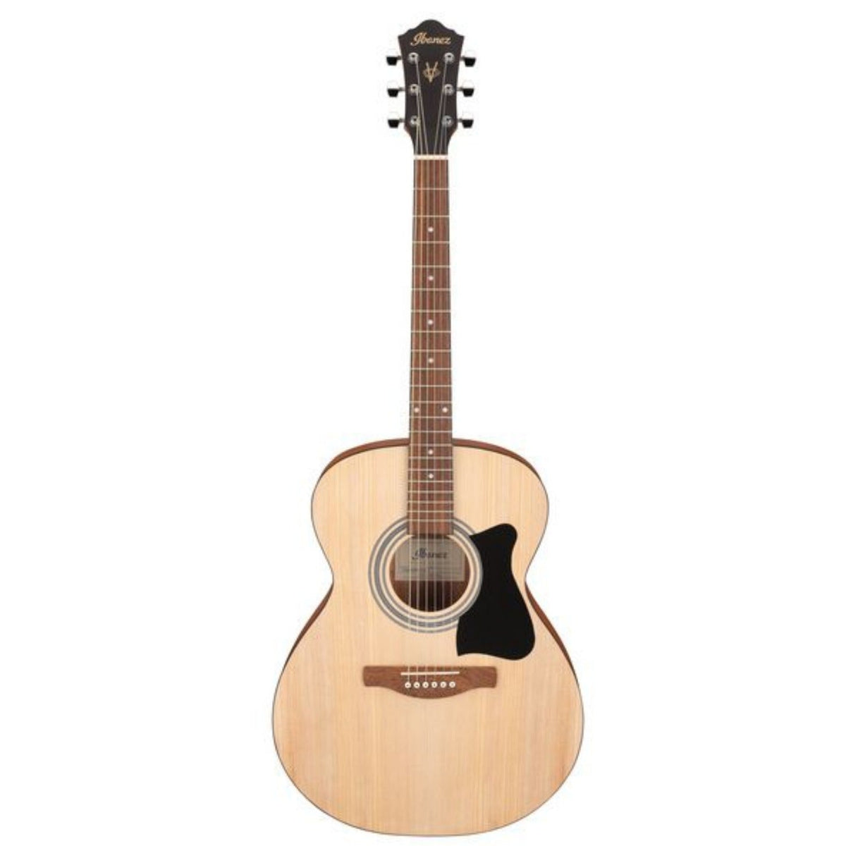 Ibanez VC50NJP 6 String Acoustic Guitar Pack
