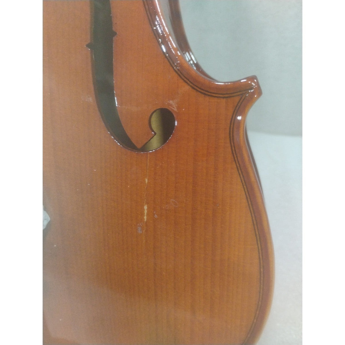 Havana MV1412F Violin with Ebony Pegs - Open Box B Stock