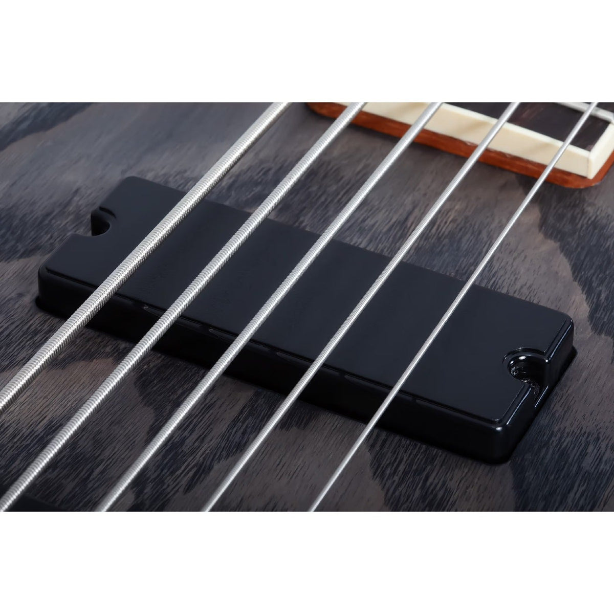 Schecter C-5 Standard 5 String Bass Guitar