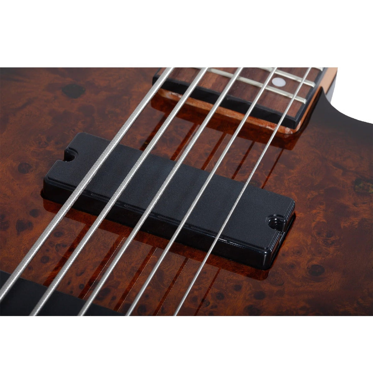 Schecter C-5 Standard 5 String Bass Guitar