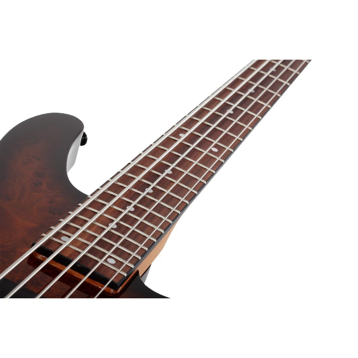 Schecter C-5 Standard 5 String Bass Guitar