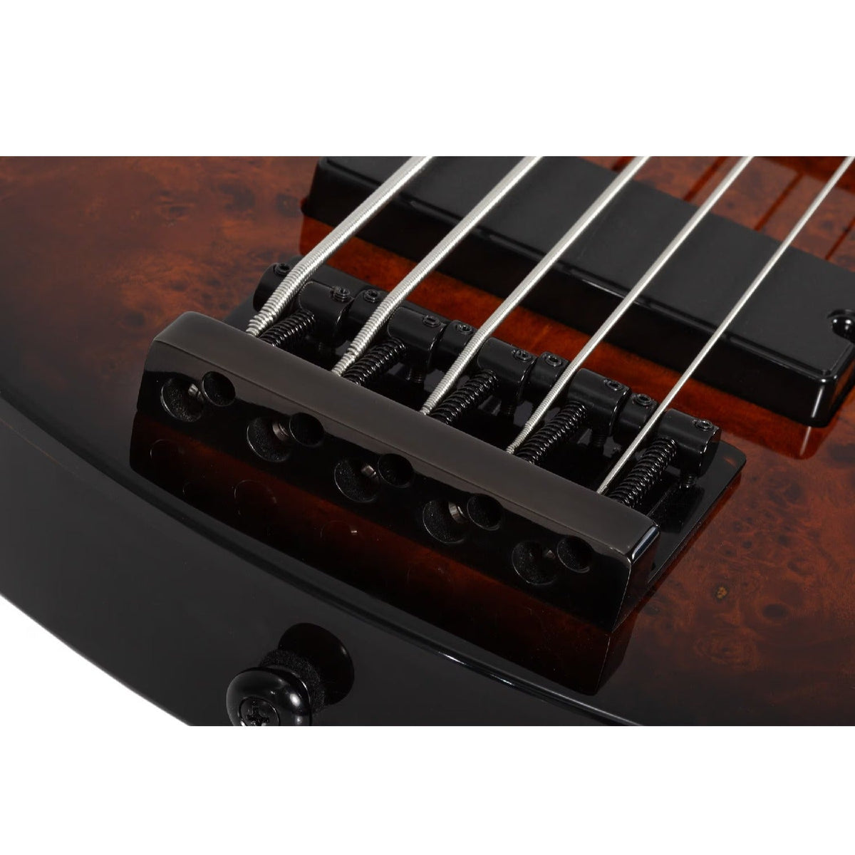 Schecter C-5 Standard 5 String Bass Guitar