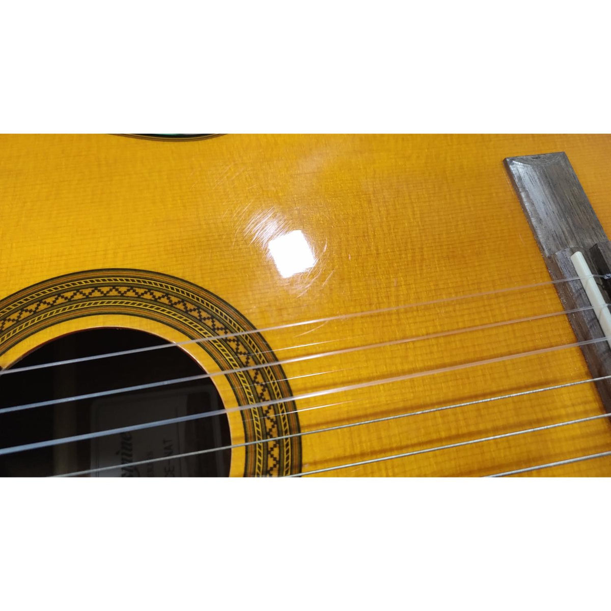 Takamine GC1CE Cutaway Nylon String Electro Acoustic Guitar - Natural - Open Box