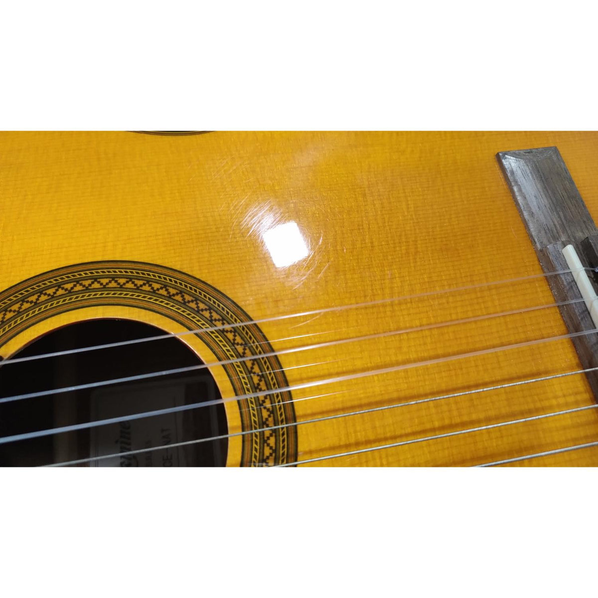 Takamine GC1CE Cutaway Nylon String Electro Acoustic Guitar - Natural - Open Box