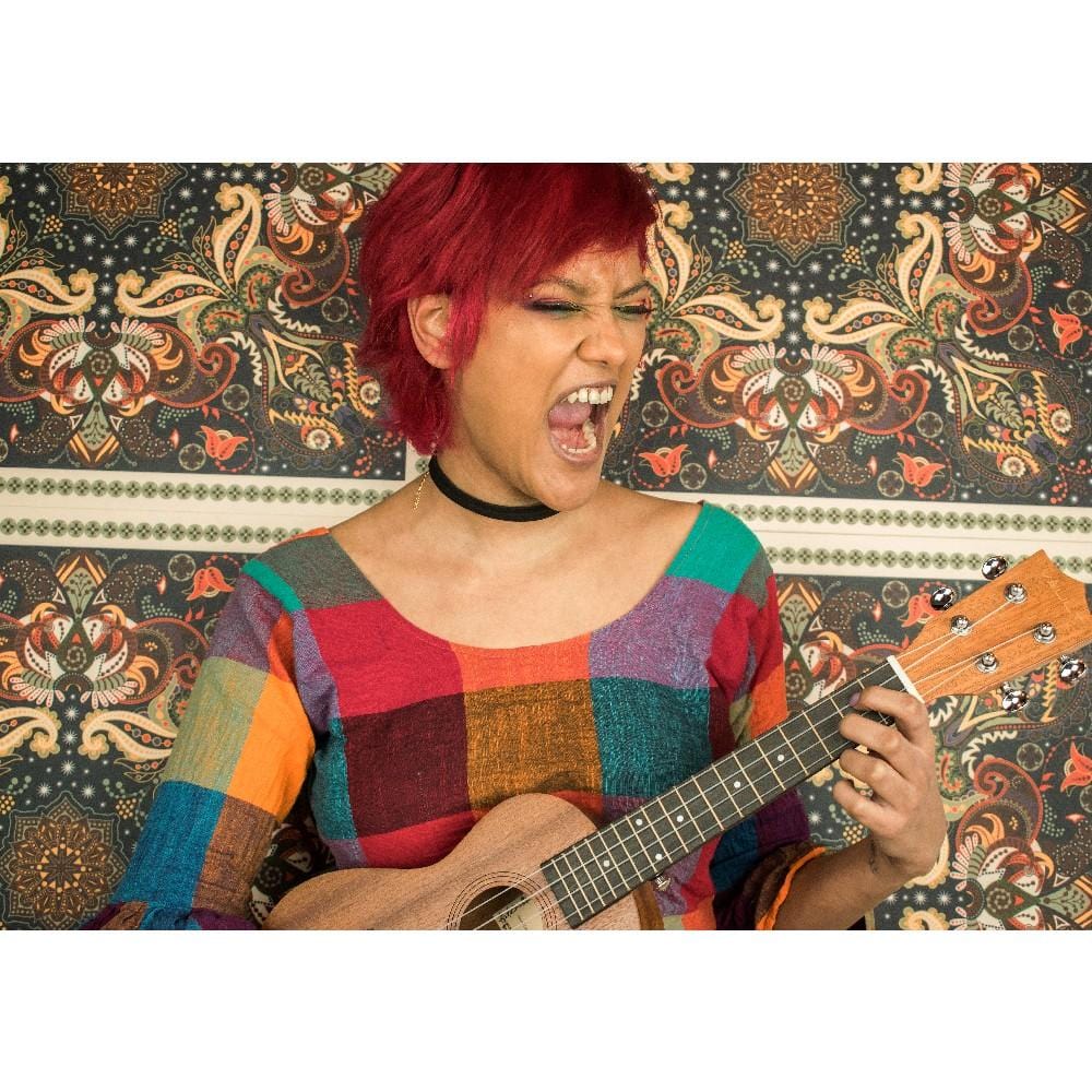 Vault UK-100C 24 inch Arched Back Concert Ukulele - Open Box
