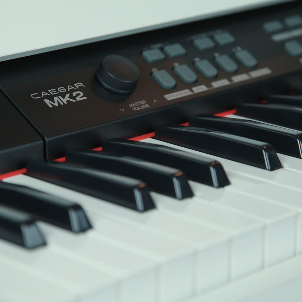 Vault Caesar MK2 88 Key Digital Piano - Open Box