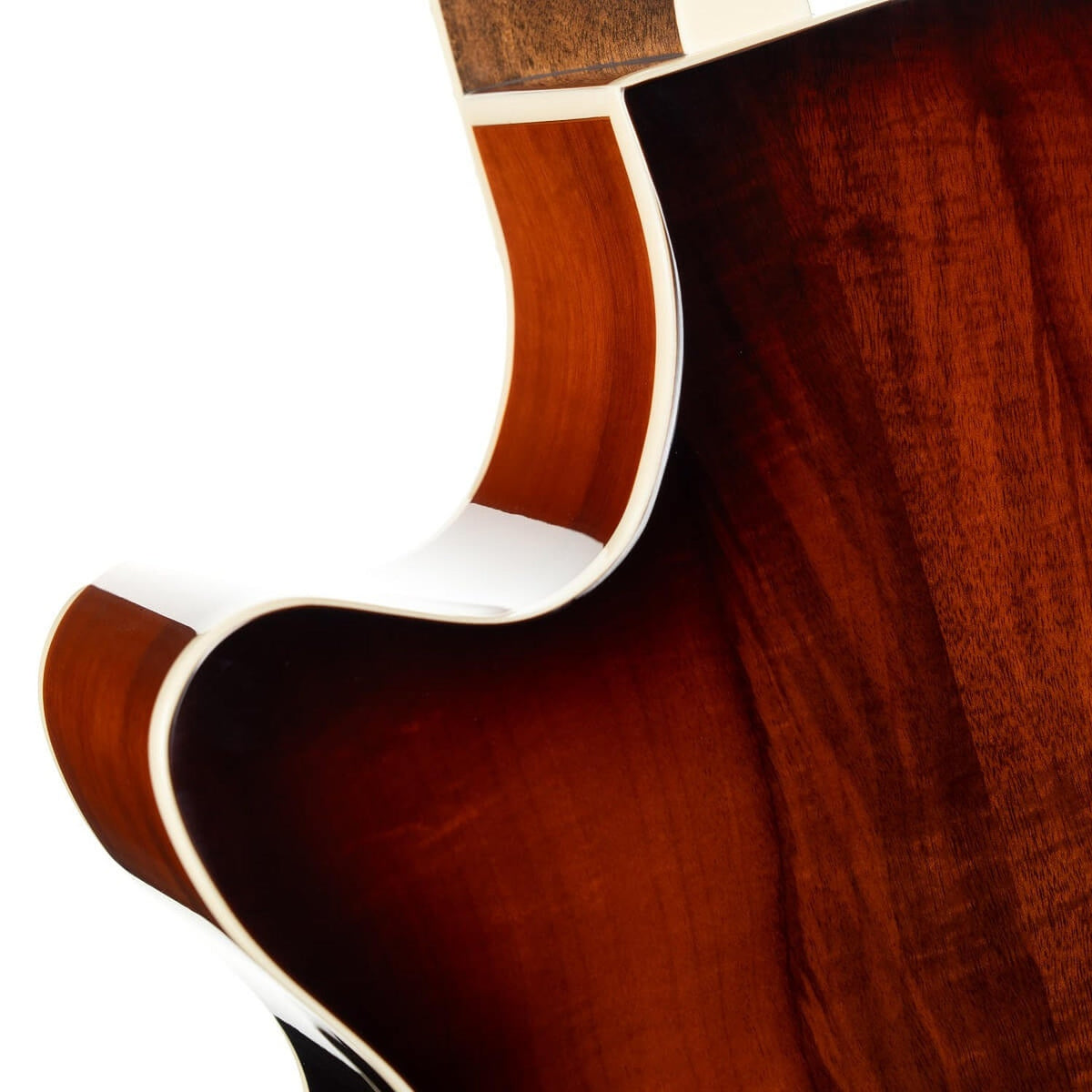 Cort Exotic-SFX Myrtle Exotic Series 6 String Electro Acoustic Guitar