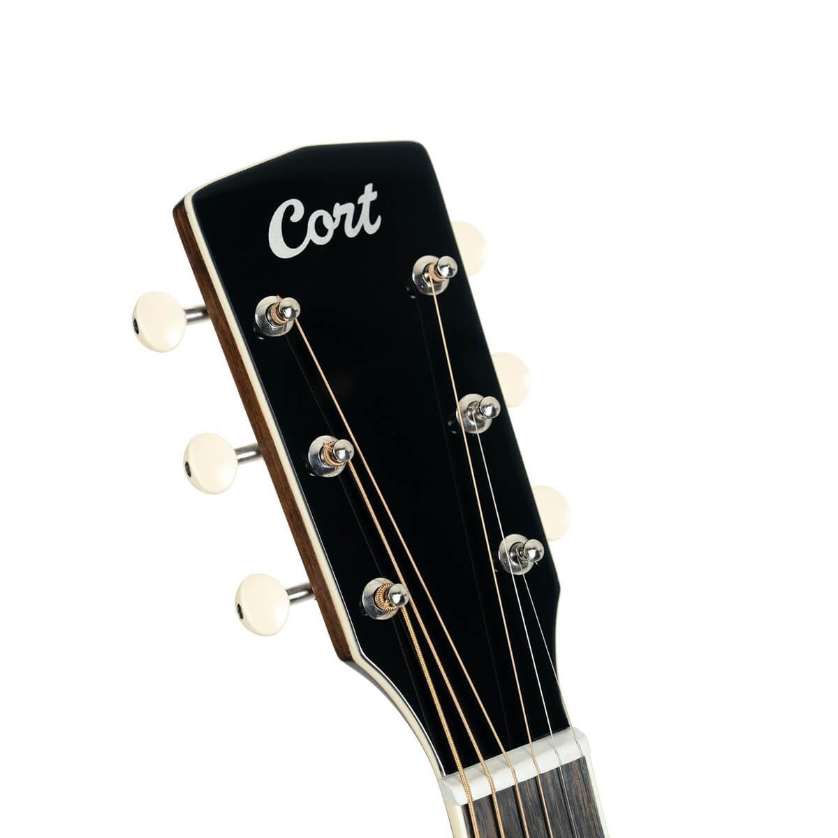 Cort Exotic-SFX Myrtle Exotic Series 6 String Electro Acoustic Guitar