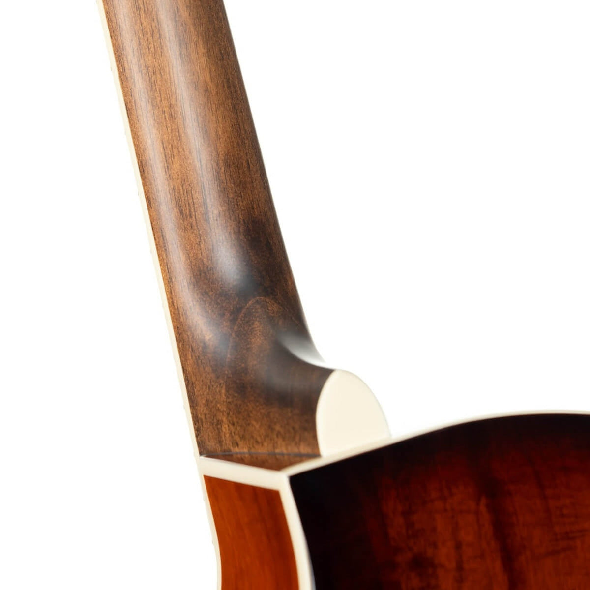 Cort Exotic-SFX Myrtle Exotic Series 6 String Electro Acoustic Guitar
