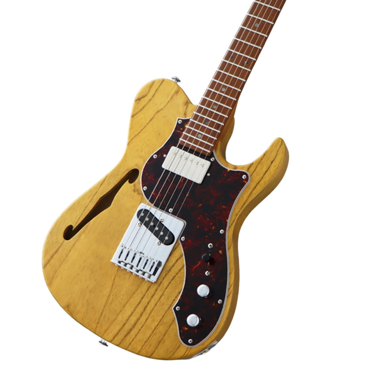 FGN EILT-ASH-HS-RM Iliad Expert 6 String Electric Guitar