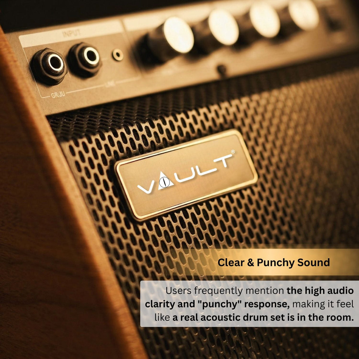 Vault DM50 Drum Monitor