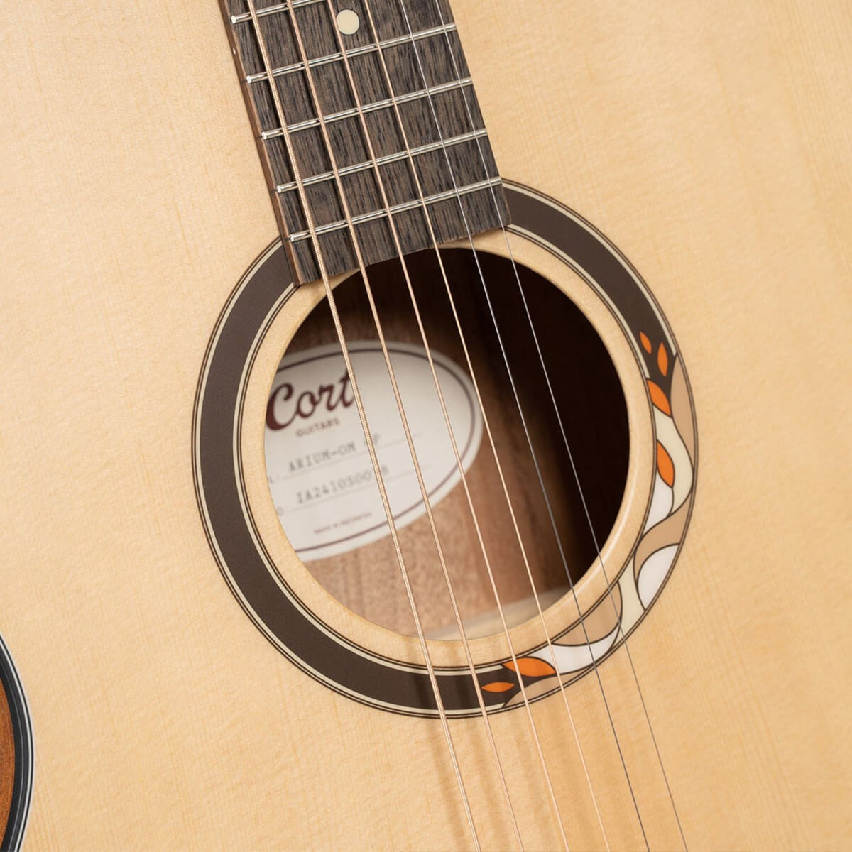 Cort Arium Series 6 String Acoustic Guitar