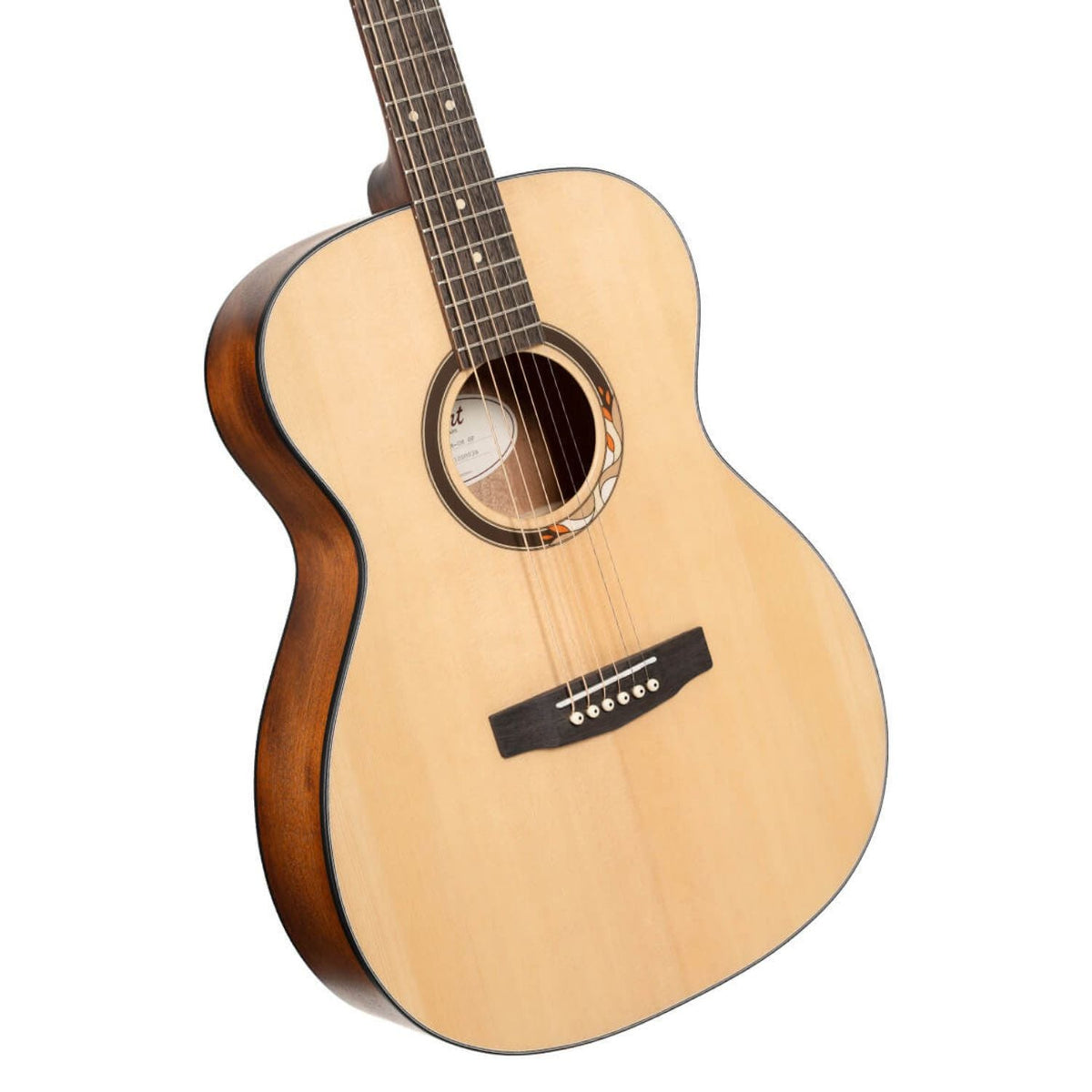 Cort Arium Series 6 String Acoustic Guitar