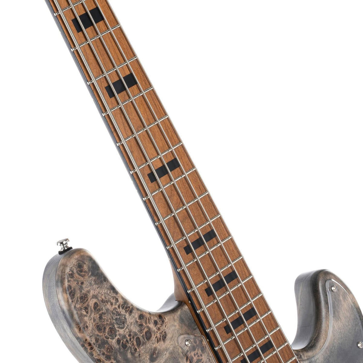 Cort GB-Modern 5 String Bass Guitar with Case