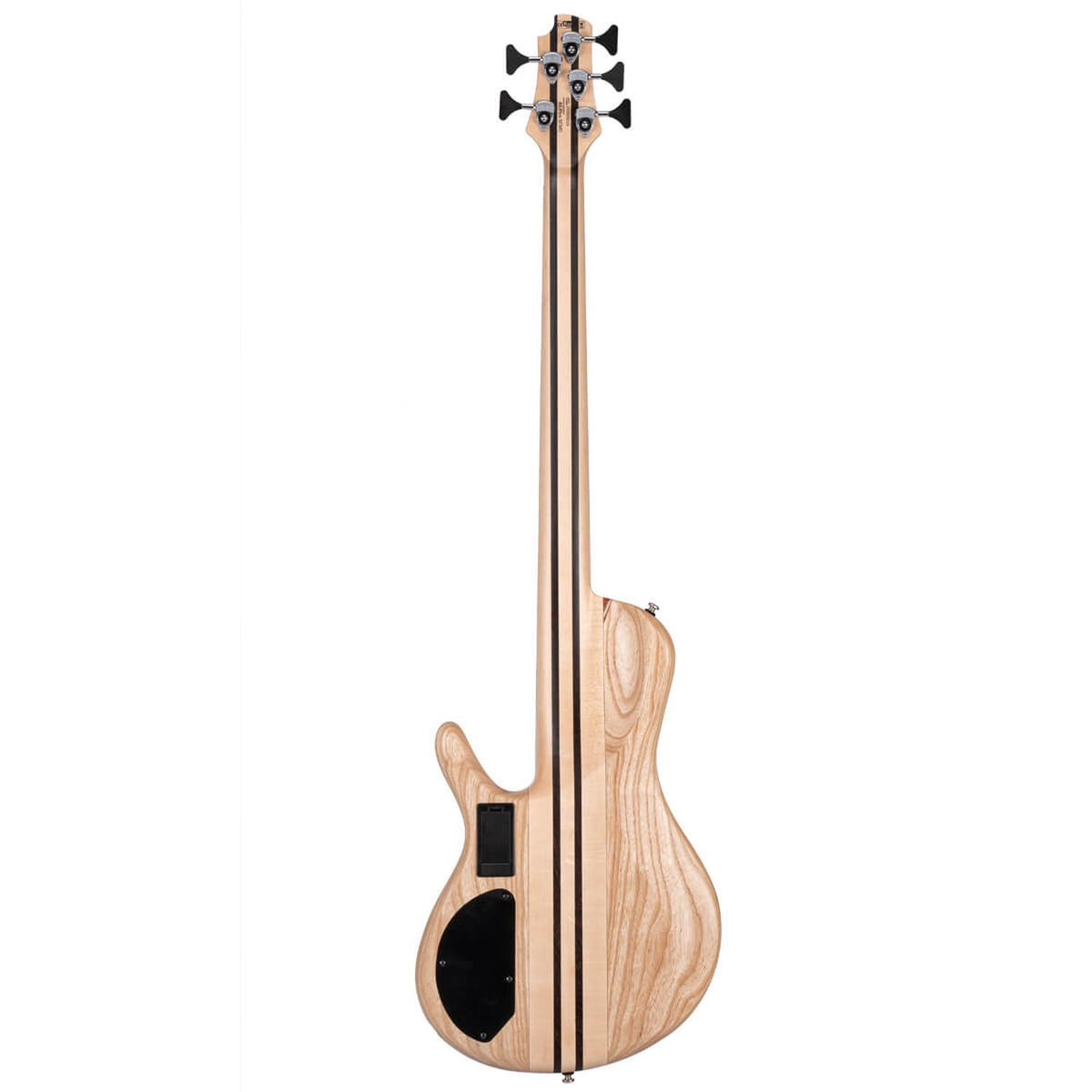 Cort A5 Beyond 5 String Bass Guitar with Case