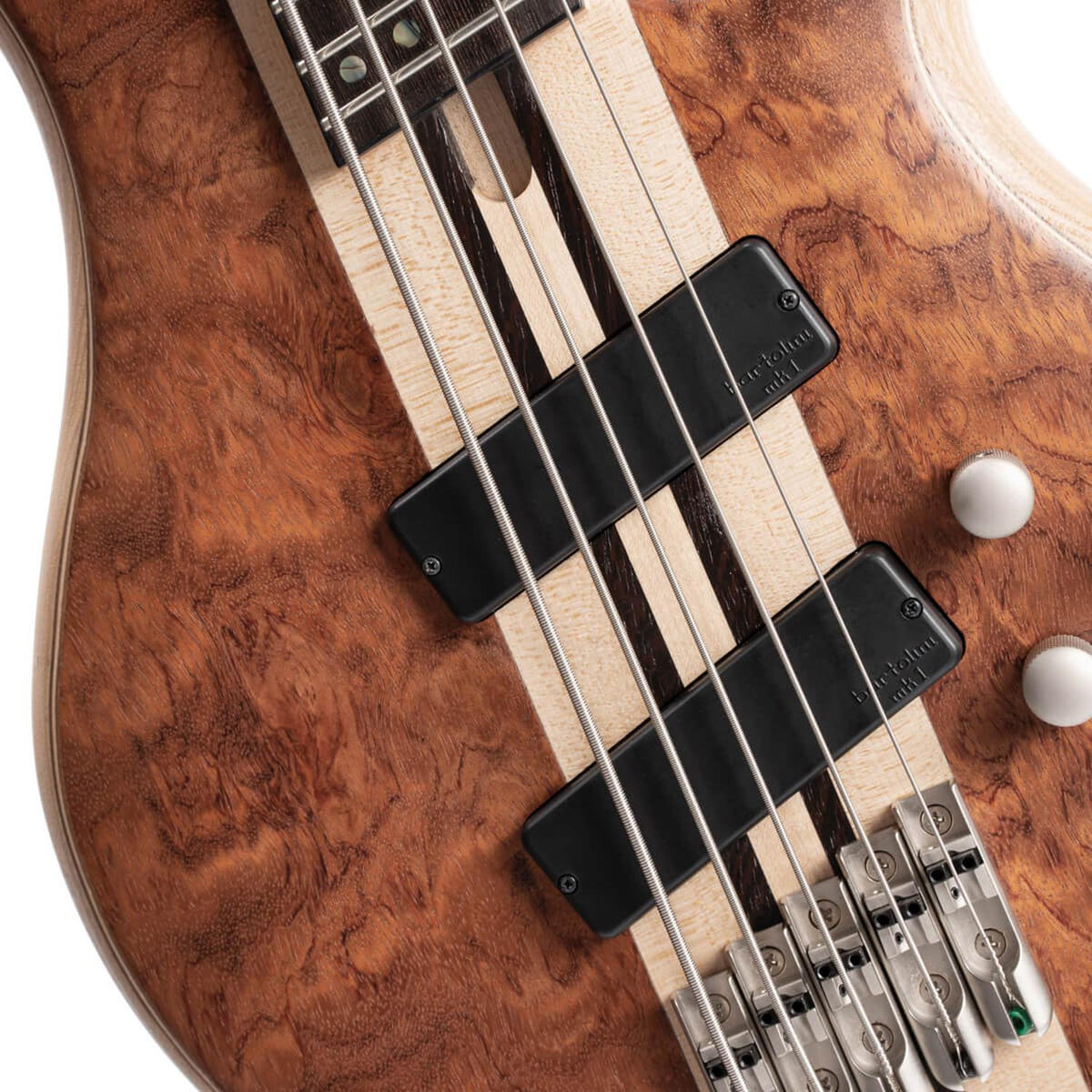 Cort A5 Beyond 5 String Bass Guitar with Case