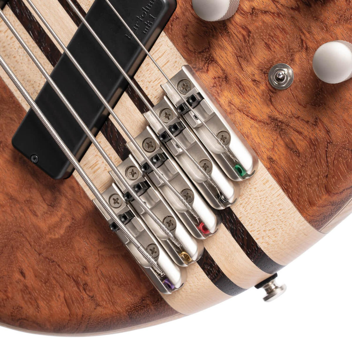 Cort A5 Beyond 5 String Bass Guitar with Case