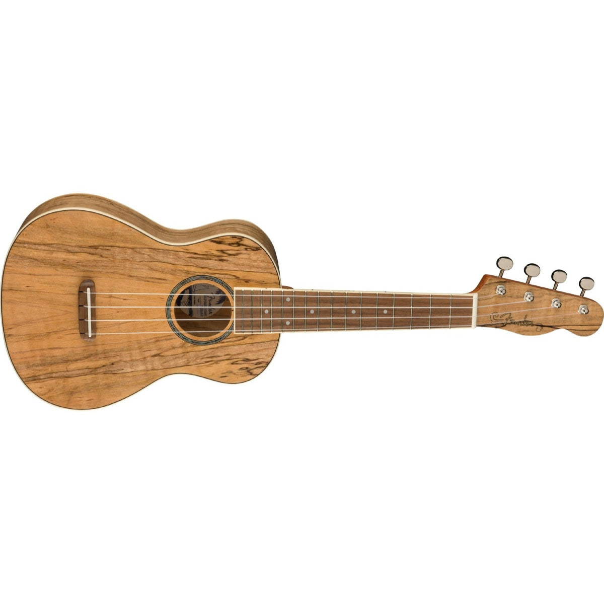 Fender Zuma Exotic Concert Ukulele