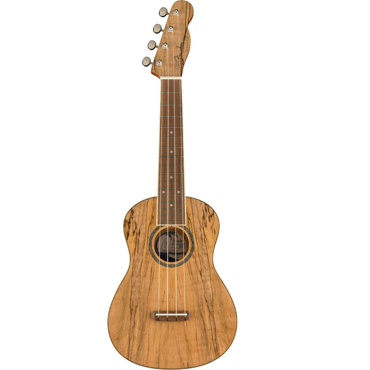 Fender Zuma Exotic Concert Ukulele