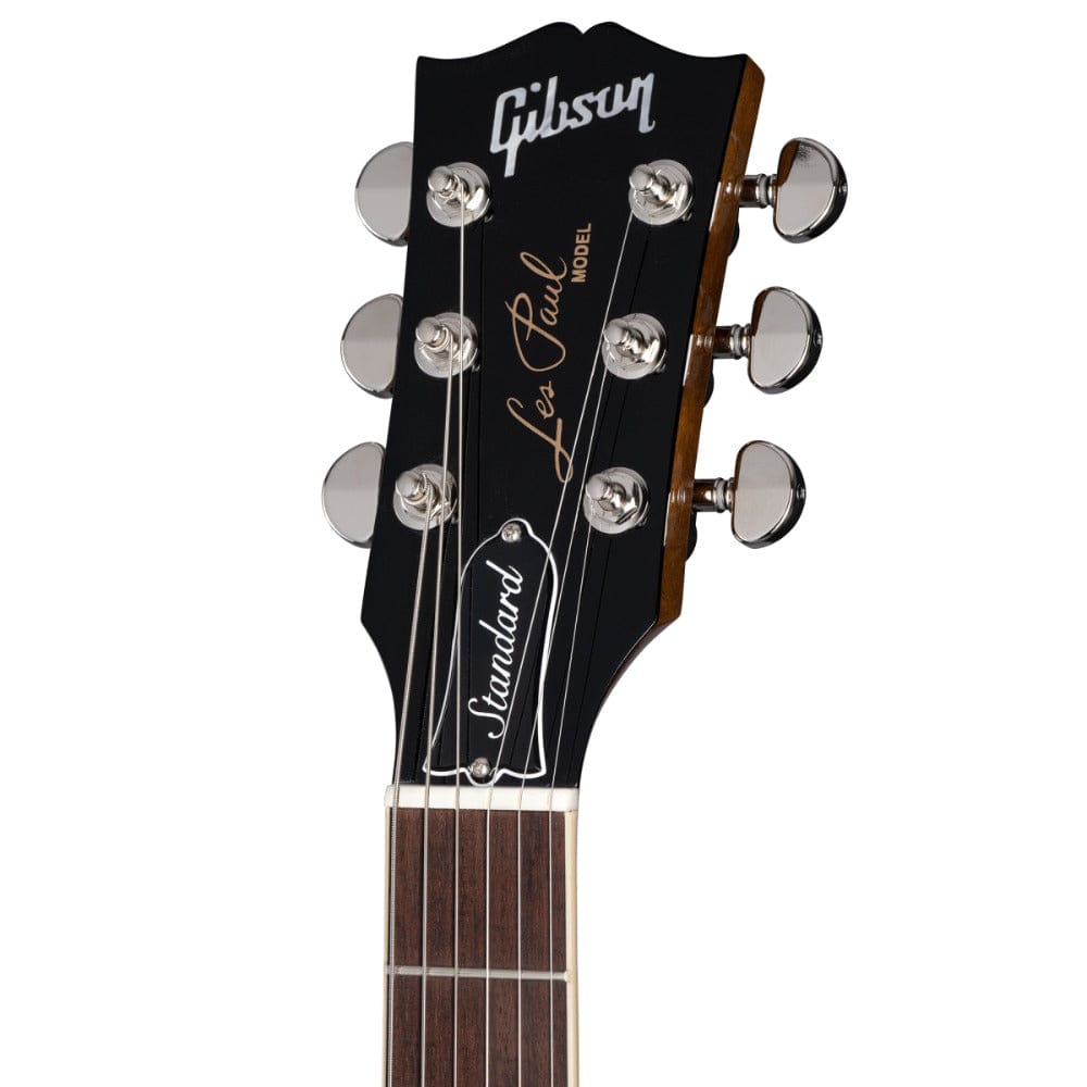 Gibson Les Paul Standard 60s Plain Top 6 String Electric Guitar