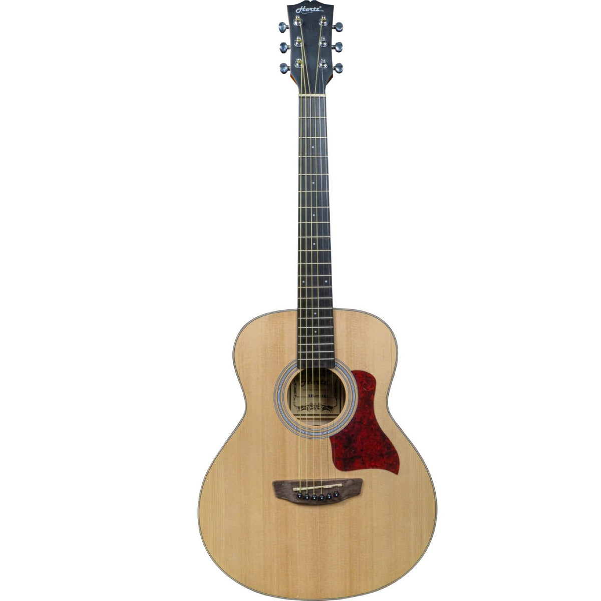 Hertz HZA-3600 6 String Acoustic Guitar