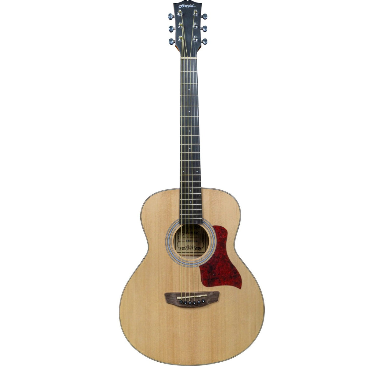 Hertz HZA-3600 6 String Acoustic Guitar